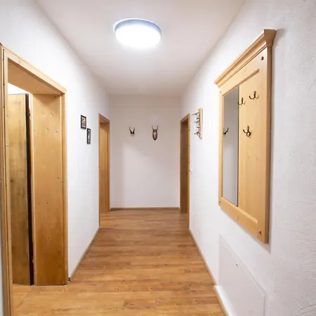 Waldlaeufer By Interhome * Pfarrwerfen